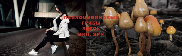 прущие крисы Касимов