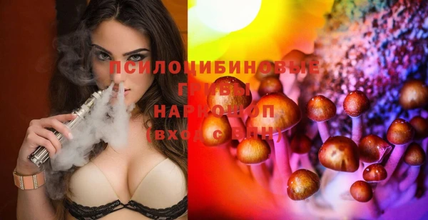 МДМА Карпинск