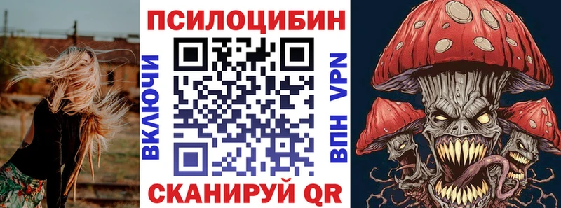 Купить  Лебедянь  Галлюциногенные грибы Cubensis 